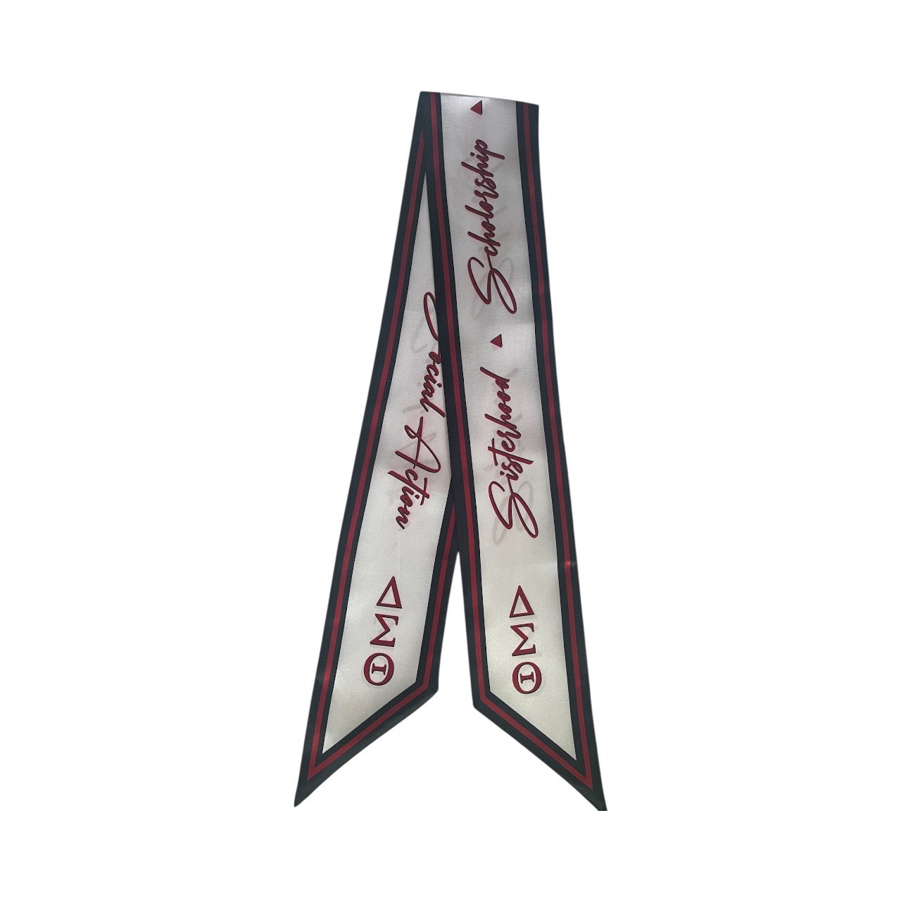 Social Action Sisterhood Scholarship Twilly