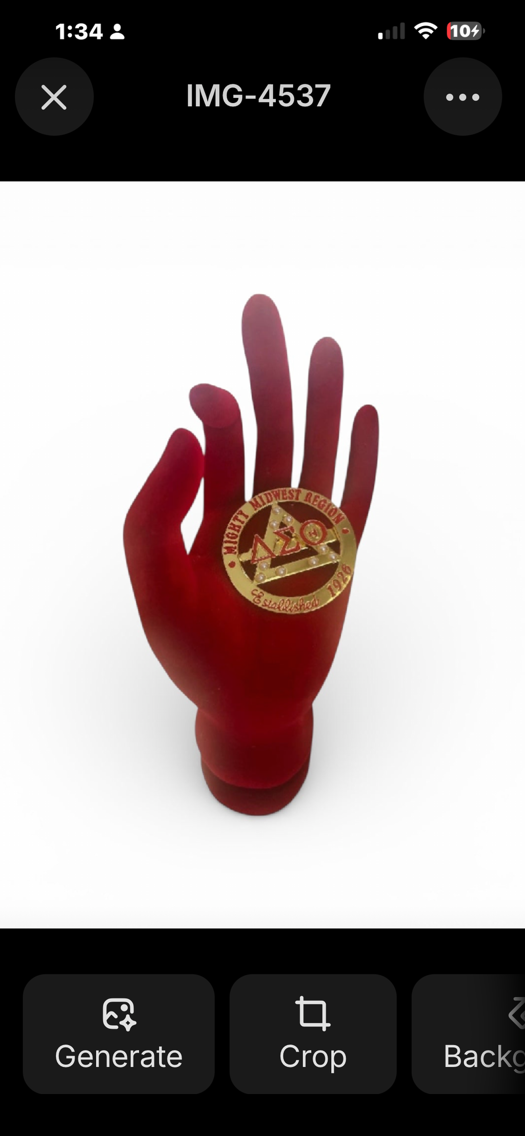 The Mighty Midwest Region DST Brooche